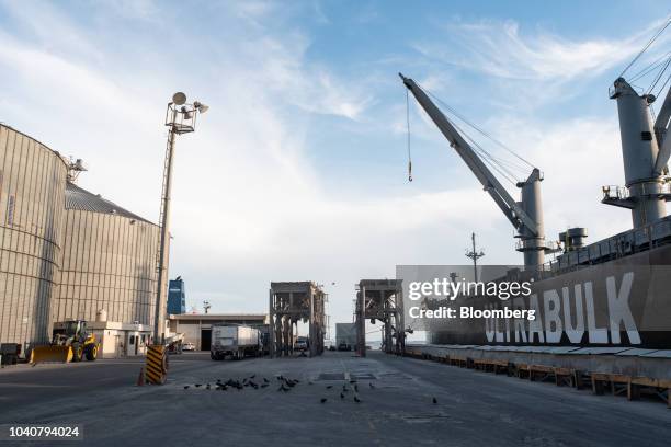 Mutisur Port Of Progreso Photos and Premium High Res Pictures - Getty Images