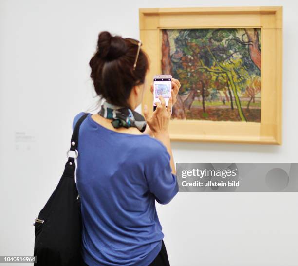 Niederlande, Hooge Veluwe: Bildergalerie im Museum Kroeller/Mueller. In Hooge Veluwe. Zweitgroesste Sammlung Vincent van Gogh weltweit. NDL,...