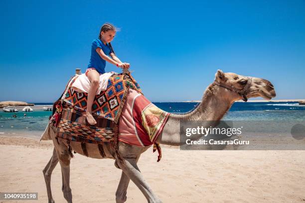 young girl riding a camel in egypt - egypt beach stock pictures, royalty-free photos & images