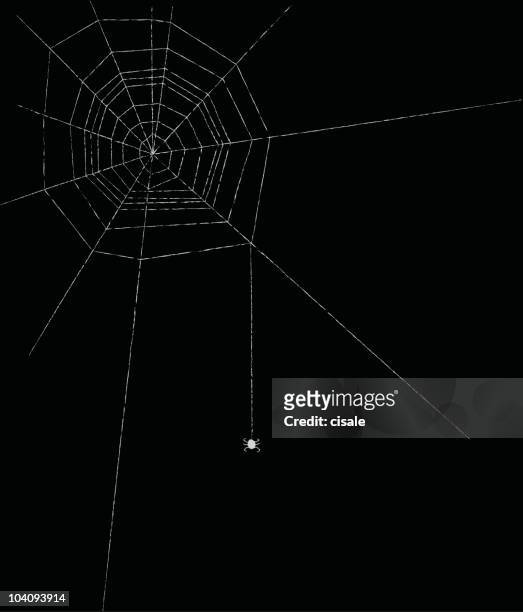 spider web-design-illustration - spinnenphobie stock-grafiken, -clipart, -cartoons und -symbole