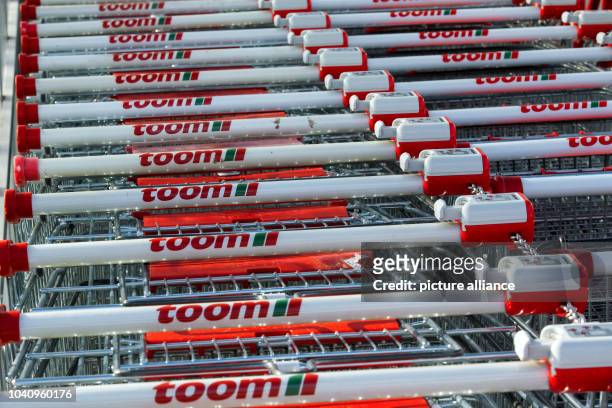 The logo of the toom hardwear store chain is seen on shopping carts at a toom store in Schwerin, Germany, 09 March 2015. The 'Handelsverband...