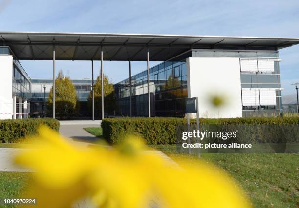 23 Max Planck Institute Of Molecular Plant Physiology Stock Photos