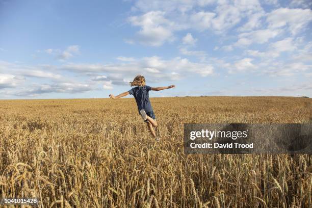 child running in a field of wheat - agriculture happy bildbanksfoton och bilder