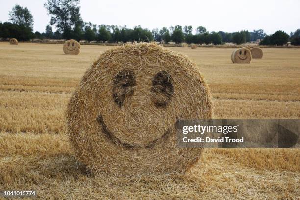 smiley faces on straw bales in a field at summer time. - bale stock pictures, royalty-free photos & images