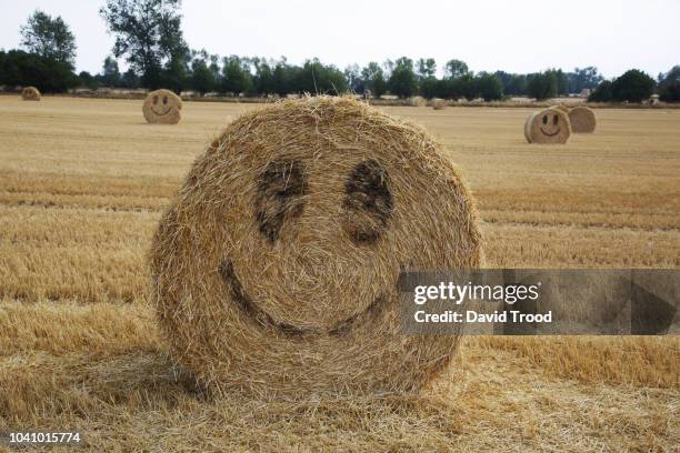 smiley faces on straw bales in a field at summer time. - bal odlad bildbanksfoton och bilder