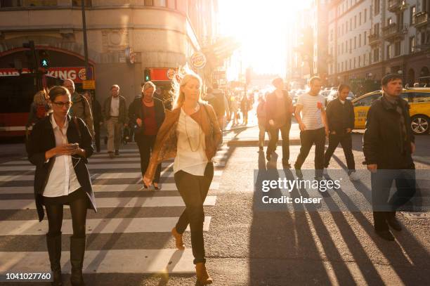 commuters on zebra crossing in sunset - stockholm sunset stock pictures, royalty-free photos & images