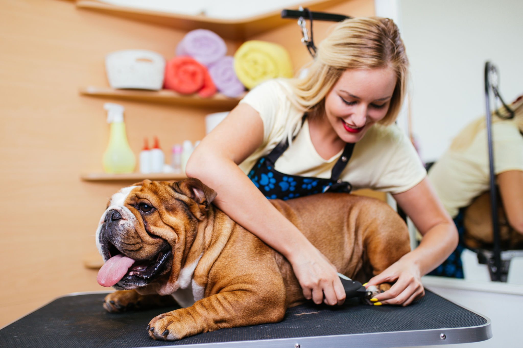 Grooming salon Grooming salon