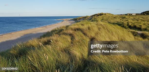 cresswell sand dunes - cresswell stock pictures, royalty-free photos & images