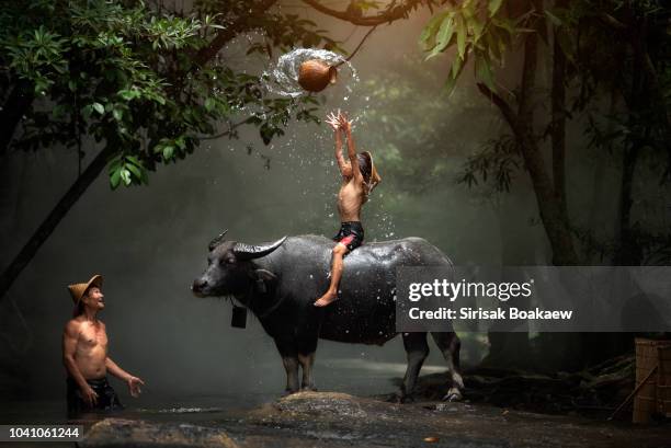 lao father and son throw the equipment to fish - indonesia family imagens e fotografias de stock