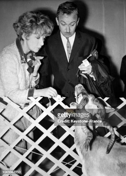 Les comédiens français Colette Brosset et son époux Robert Dhéry accueillent une antilope avec une rose à l'aéroport d'Orly dans le cadre d'une...