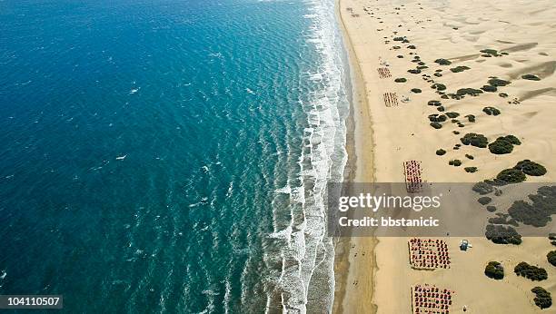 maspalomas beach - maspalomas imagens e fotografias de stock