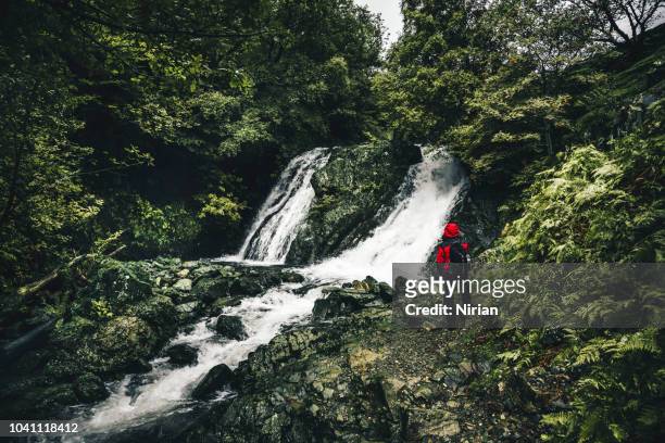 turist- och vattenfall - ambleside bildbanksfoton och bilder