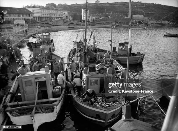 Bateaux de pêche de retour au port de Sozopol, Bulgarie, circa 1960.