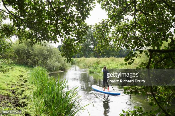 young woman paddleboarding on the river - paddleboarding stock pictures, royalty-free photos & images