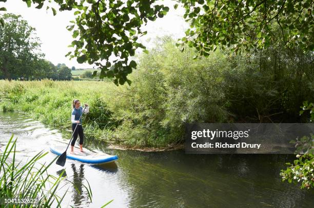 young woman paddleboarding on the river - paddleboard stock pictures, royalty-free photos & images