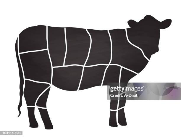 beef butcher cuts - cow stock illustrations