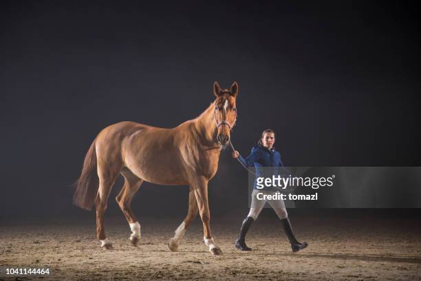 fuß ein pferd - horse jockey stock-fotos und bilder
