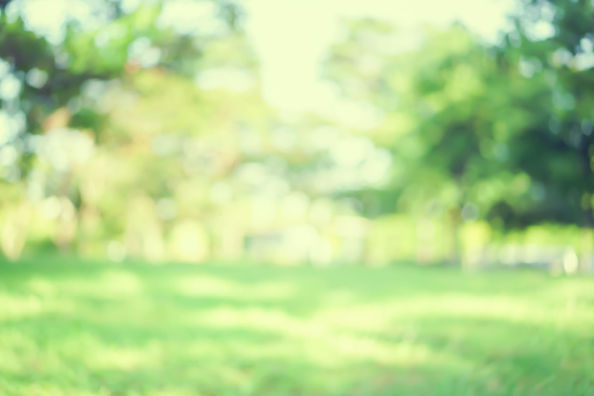outdoor greenery