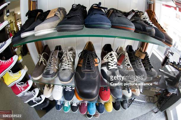 Oversized men's shoes stand on a shelf in the sales room of shoemaker Georg Wessels in Vreden, Germany, 15 April 2013. Wessels manufactures shoes for...