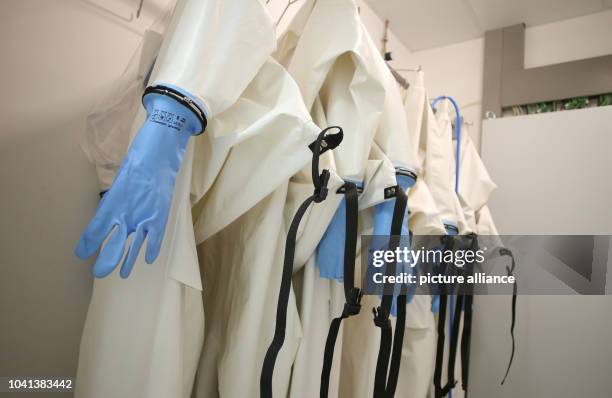 Laboratory Security Level 46 Biosafety Level 4 Laboratory Stock Photos, High-Res Pictures, and ...