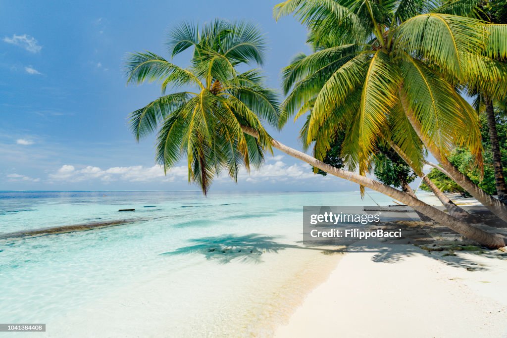 Playa paradisíaca en Maldivas
