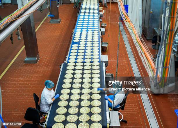 Pizza Process Factory 175 Pizza Production Line Stock Photos, High-Res Pictures, and Images ...