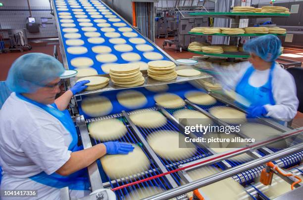 Pizza Process Factory 177 Pizza Production Line Stock Photos, High-Res Pictures, and Images ...