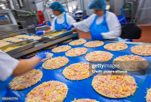 Pizza Process Factory 177 Pizza Production Line Stock Photos, High-Res Pictures, and Images ...