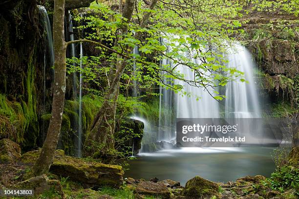 tropical waterfall, amazon rain forest - amazonas region stock-fotos und bilder