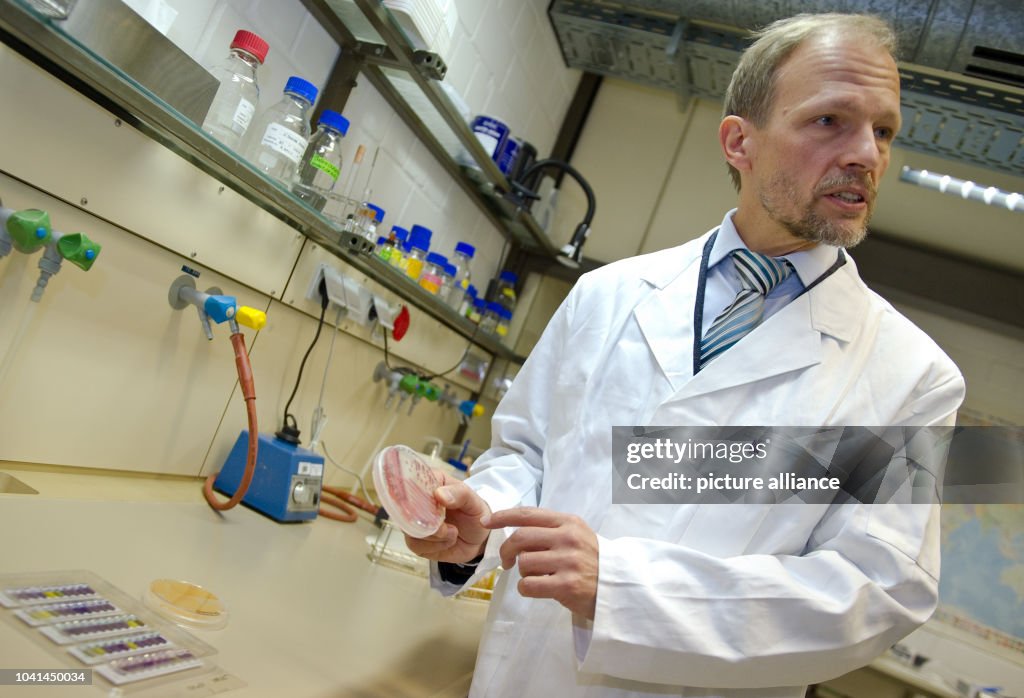 The collectors of bacteria