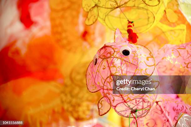 chinese mid autumn goldfish lanterns - 中秋節 ストックフォトと画像
