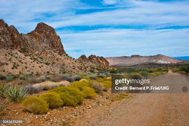 nevada, mesquite, gold butte national monument, gold butte townsite road vistas - mesquite nevada stock pictures, royalty-free photos & images