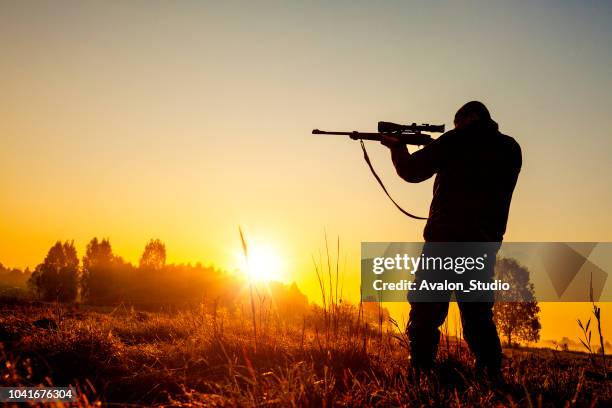 cazador a la caza de la mañana - rifle fotografías e imágenes de stock