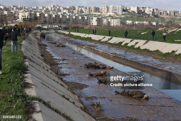 In einem kleinen Fluss, der von dem Stadtteil von Aleppo kommt, der von Regierungstruppen kontrolliert wird, werden am Dutzende Leichen gefunden. Die...