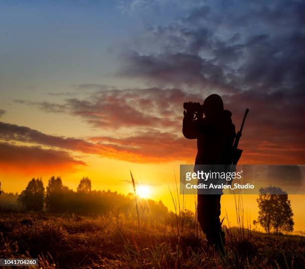 hunter on the morning hunt - spy hunter stock pictures, royalty-free photos & images