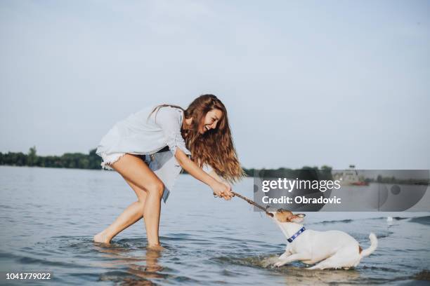 cane e ragazza che giocano sulla riva ha detto. il cane che tira bastone - pull foto e immagini stock