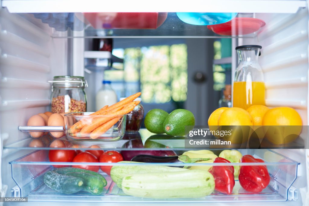 Opened fridge from the inside.