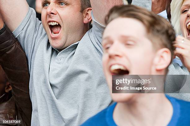 football fans cheering - fan stockfoto's en -beelden