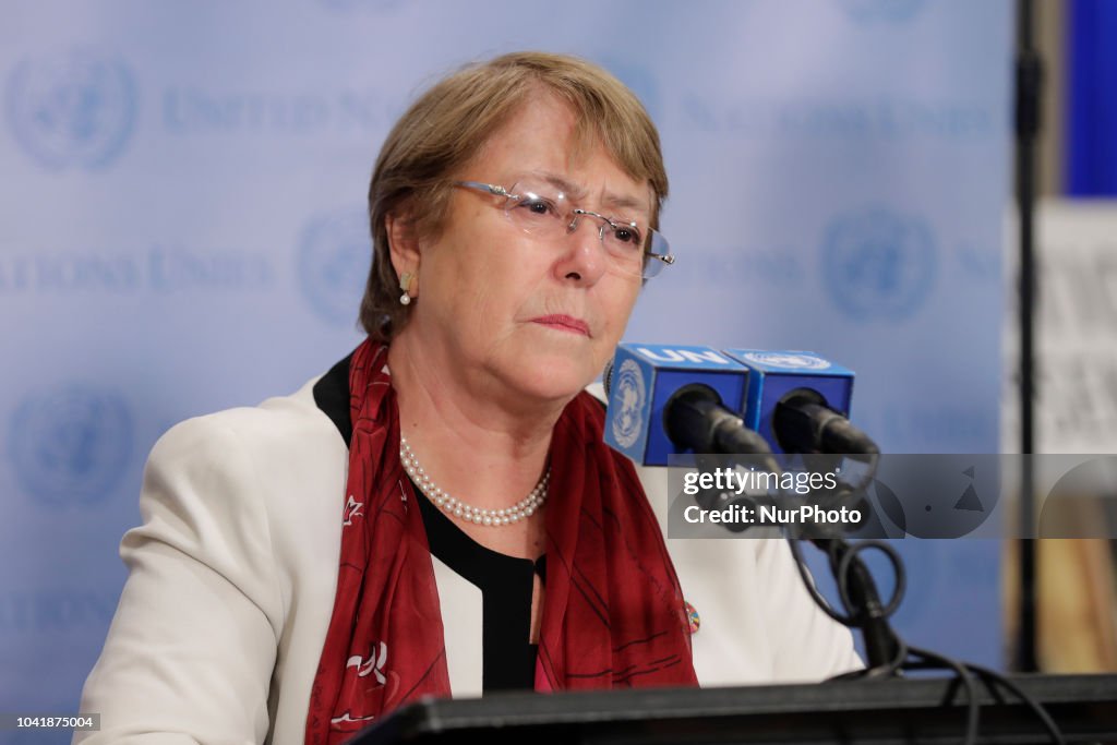 UN High Commissioner For Human Rights Briefs Press