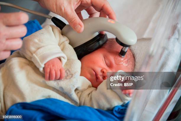 Postpartum care in maternity clinic, Chambery, France Newborn babies receive their first postnatal care A pediatric nurse carries out an ABR,...