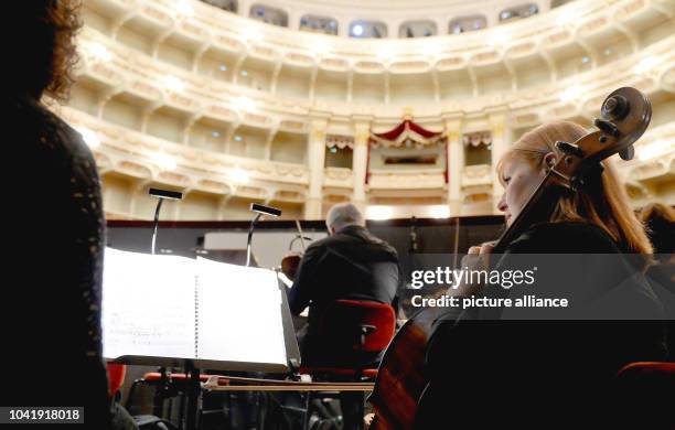 Tuning Into Opera 117 Orchestra Tuning Up Stock Photos, High-Res Pictures, and Images ...