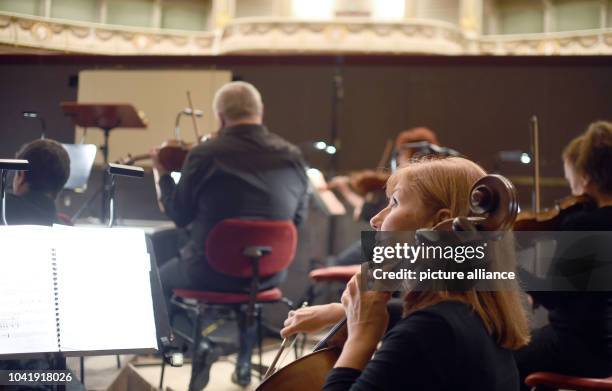 Tuning Into Opera 58 Orchestra Tuning Up Stock Photos, High-Res Pictures, and Images ...