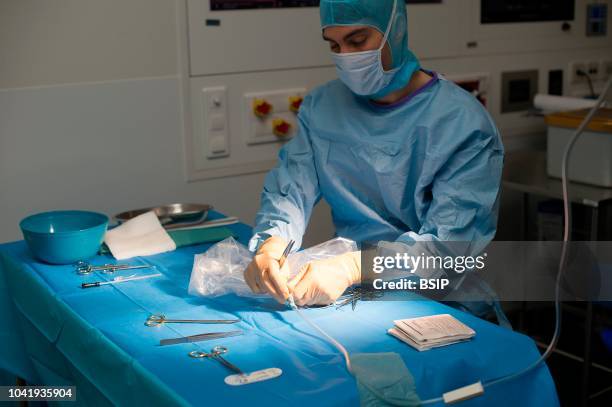 Kidney transplant in the urology, Nice, France, kidney is taken from a living related donor, the recipient's wife During removal of the kidney, an...