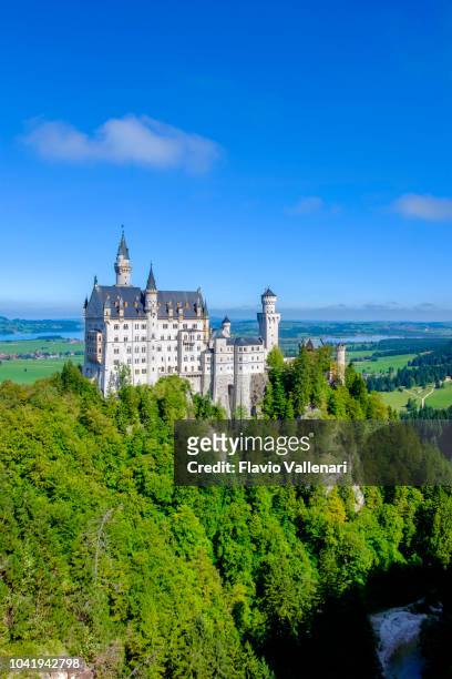 neuschwanstein castle (bavaria, germany) - neuschwanstein stock pictures, royalty-free photos & images