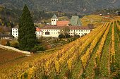 Beautiful vineyards at Abbey of Novacella, south tyrol, Bressanone, Italy. The Augustinian Canons Regular Monastery of Neustift was founded by Bishop of Brixen, the Blessed Hartmann in 1142.