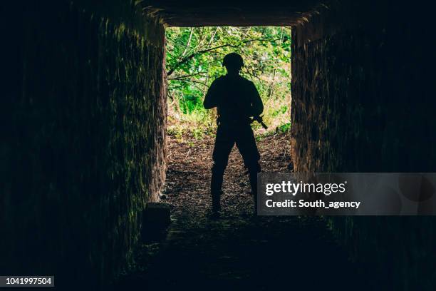 military soldier - forest silhouette stock pictures, royalty-free photos & images