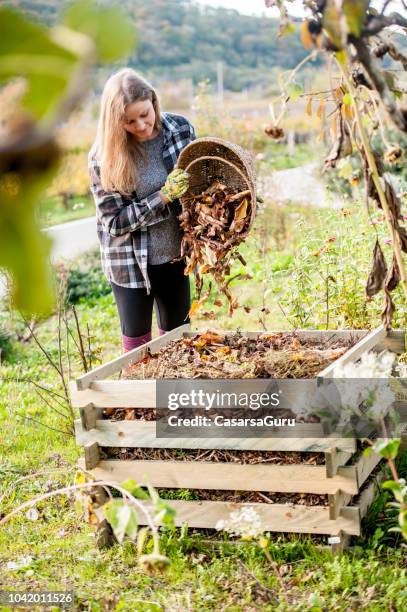 jonge vrouw schudden vertrekt uit de mand naar compost - compost garden stockfoto's en -beelden