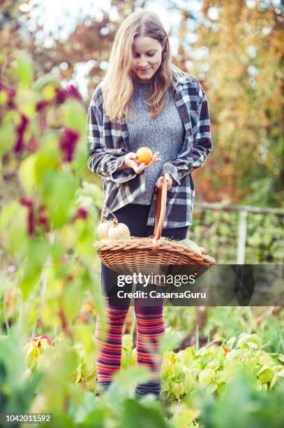 jonge vrouw in haar moestuin met mandje vol met homegrown groenten - kaki stockfoto's en -beelden