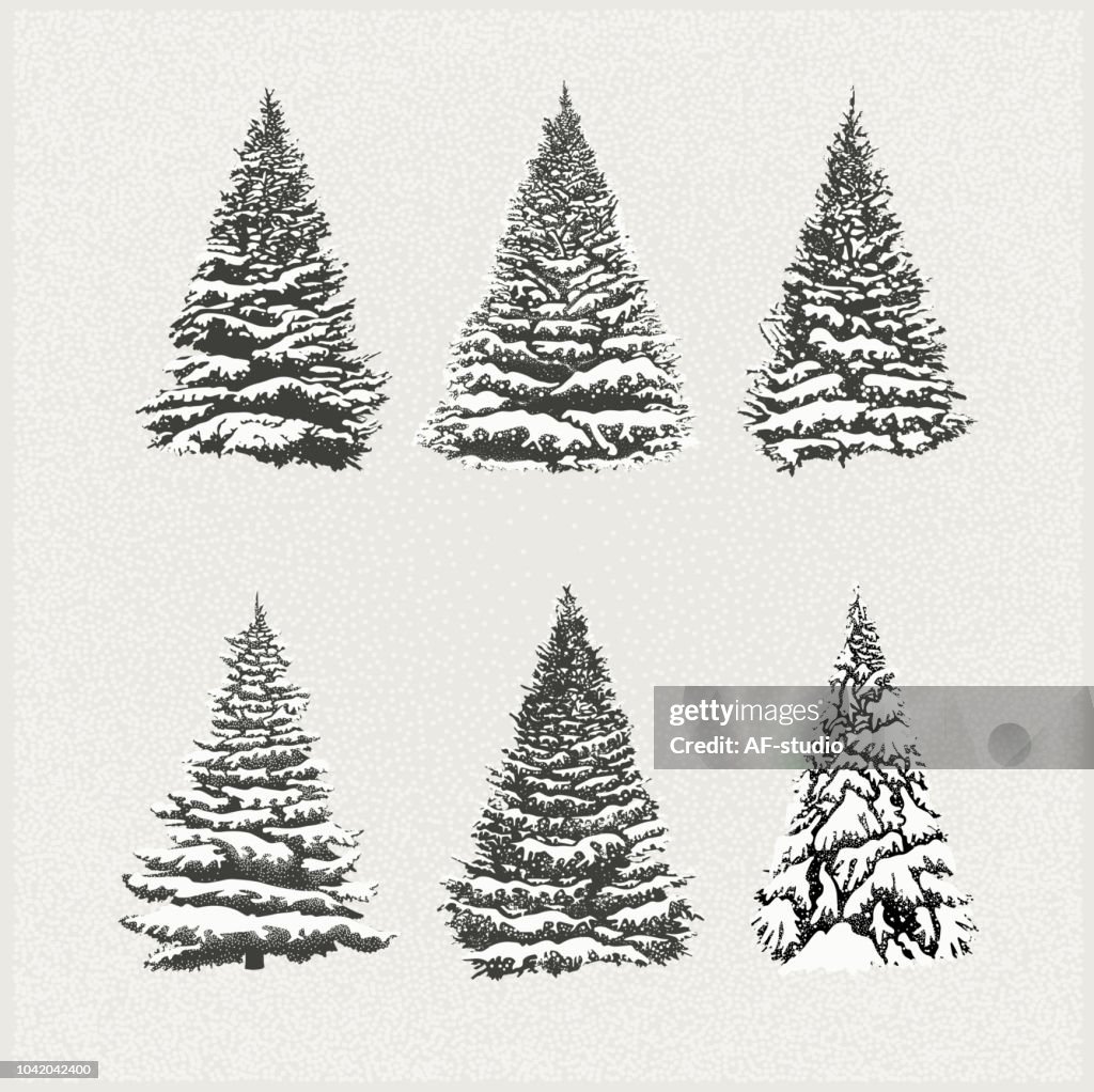 Satz von Christmas Trees