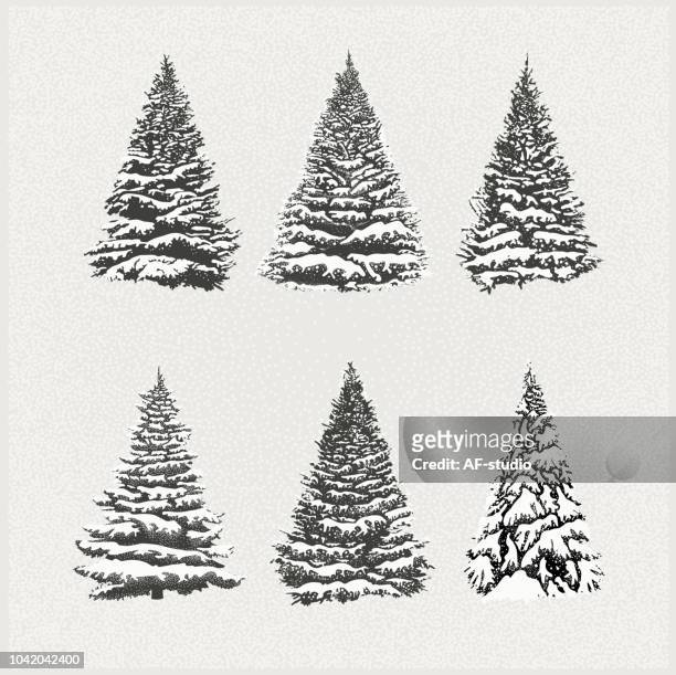 satz von christmas trees - schnee stock-grafiken, -clipart, -cartoons und -symbole
